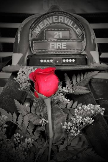 rose and helmet